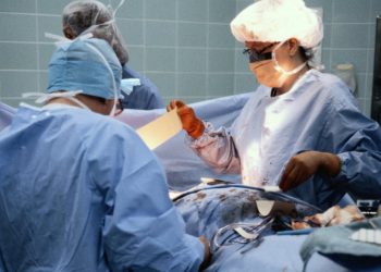 Project develops tool to optimise the paired kidney exchange
