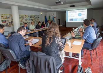 Sonae Arauco procura oportunidade de colaboração no INESC TEC