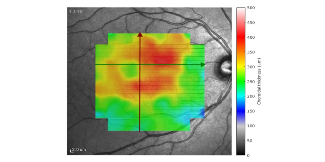 Sete inovações INESC TEC em catálogo de tecnologias médicas com elevado potencial