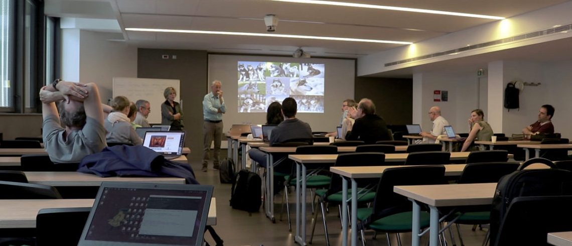 INESC TEC part of European network of excellence in Artificial Intelligence