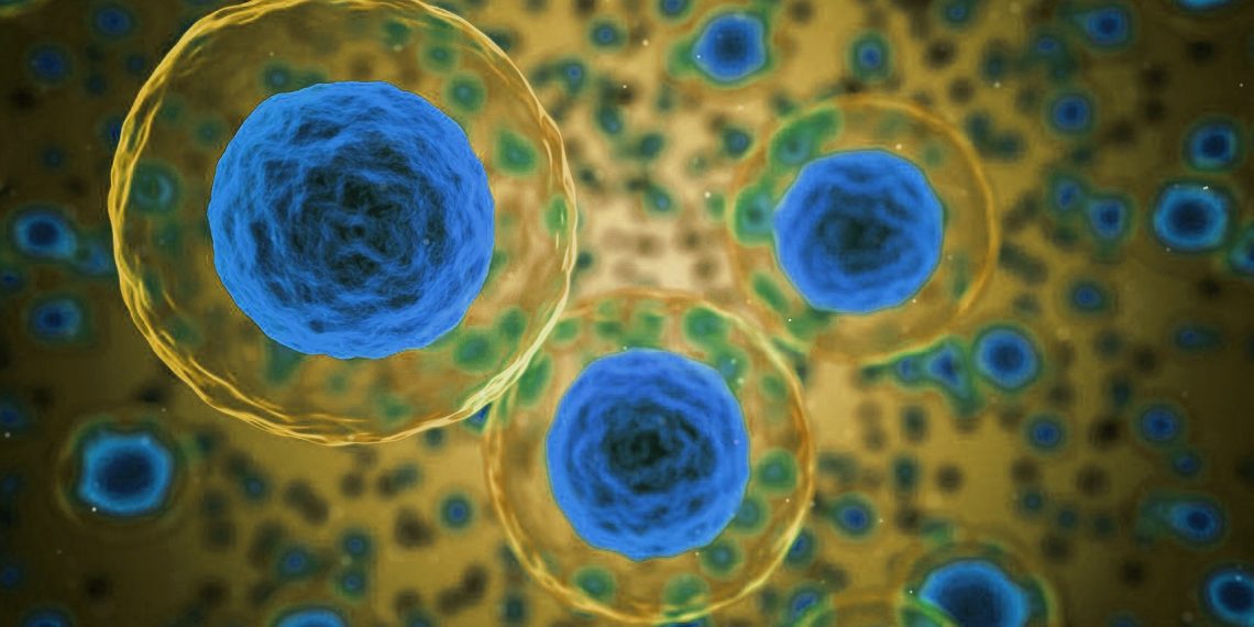 INESC TEC desenvolve tecnologia ótica inteligente que distingue e deteta células cancerígenas