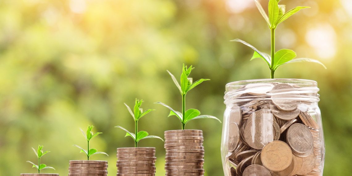 Segunda call do projeto DIVA vai financiar 68 PME
