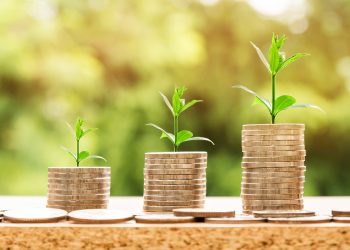 Projeto INESC TEC tem 300 mil€ para apoiar PME no setor agrotecnológico