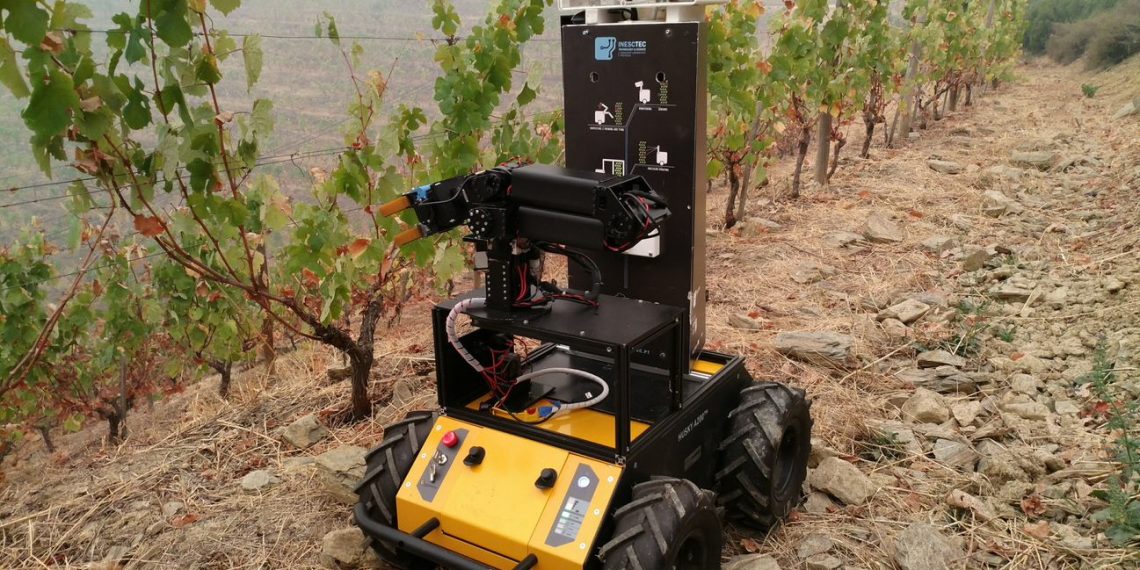 INESC TEC vai desenvolver robô para reduzir uso de pesticidas em vinhas