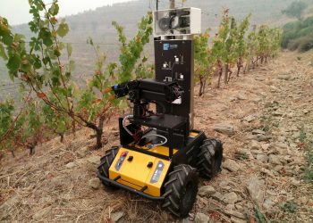 INESC TEC vai desenvolver robô para reduzir uso de pesticidas em vinhas