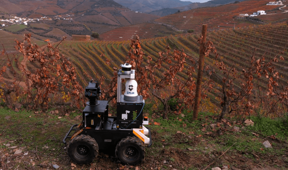 INESC TEC develops autonomous robots to spray vines with greater precision