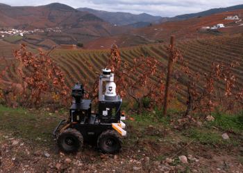 INESC TEC desenvolve robô autónomo para pulverizar vinhas com maior precisão