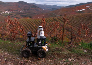 INESC TEC e Sogrape celebram protocolo de colaboração