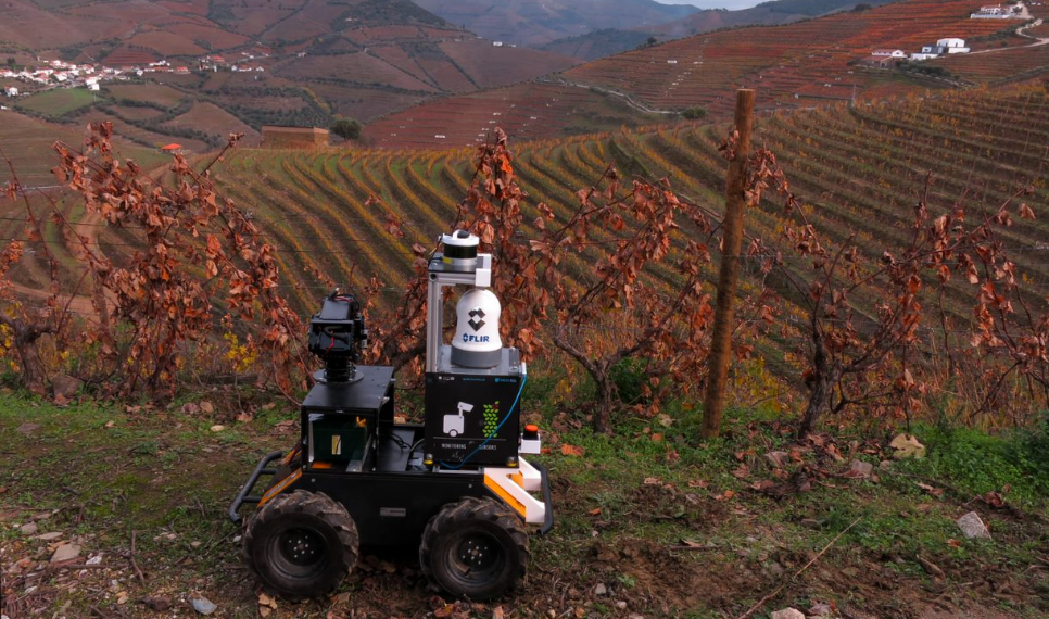 INESC TEC e Sogrape celebram protocolo de colaboração