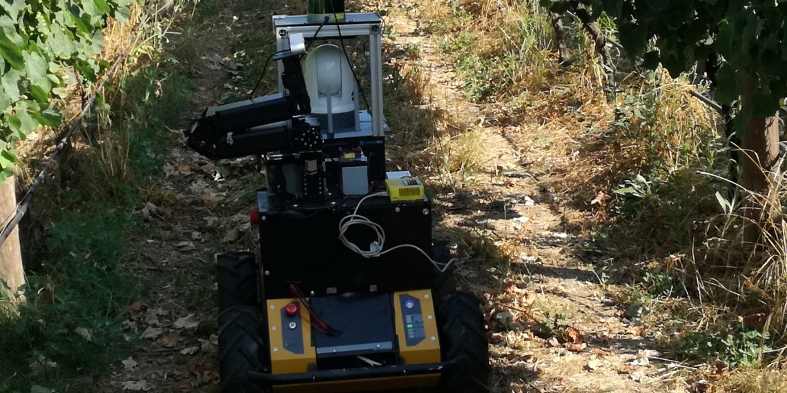 INESC TEC researcher receives honourable mention for best paper at international conference