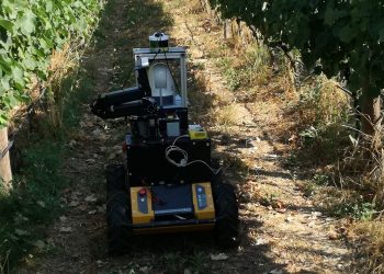 Investigador recebe menção honrosa de melhor artigo em conferência internacional