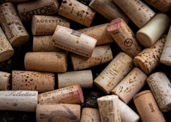 INESC TEC em parceria para apoiar empresa no controlo de qualidade