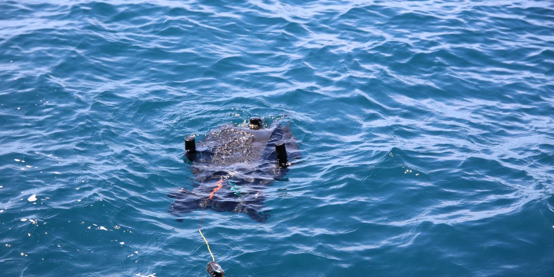 Localizar e recolher redes de pesca com sensores acústicos e veículos autónomos