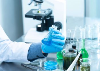 Investigadores do INESC TEC testam uso da inteligência artificial no diagnóstico precoce do cancro gástrico