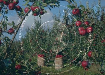 INESC TEC develops sensors for disease diagnosis and quality monitoring of productivity in the agricultural sector