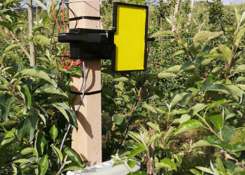 INESC TEC e INIAV/ENFVN celebram protocolo de colaboração