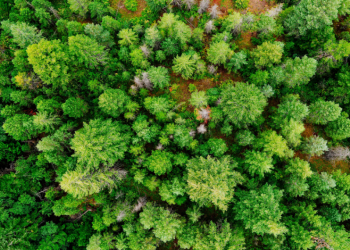 INESC TEC part of project to predict and prevent fires