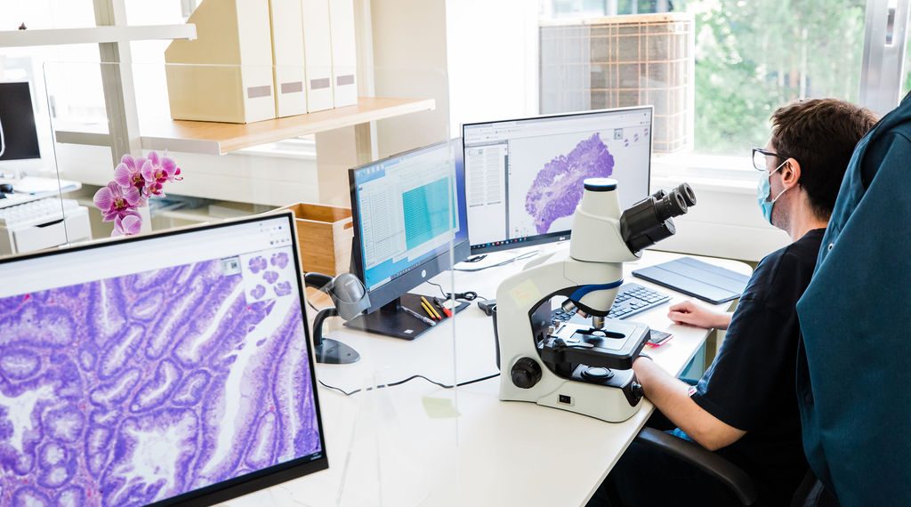 INESC TEC participa no desenvolvimento do primeiro protótipo de Inteligência Artificial na área da Patologia Digital com aplicação em cancro colo-rectal