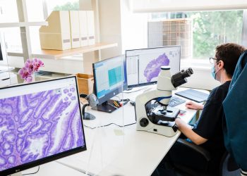 INESC TEC participa no desenvolvimento do primeiro protótipo de Inteligência Artificial na área da Patologia Digital com aplicação em cancro colo-rectal