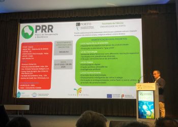 Projeto do INESC TEC para a vinha arranca com 940 mil euros de bolsa de iniciativas PRR