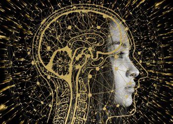 Investigação INESC TEC distinguida pela Secção Portuguesa do IEEE