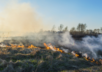 INESC TEC em projeto que usa inteligência artificial para potenciar resposta a catástrofes naturais