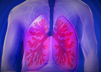 INESC TEC leads project to study lung cancer using Artificial Intelligence