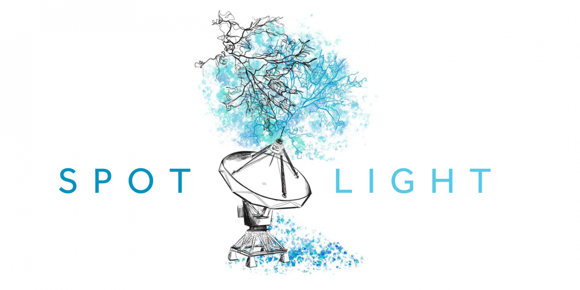 Bem-vindos à “Liga dos Campeões” das telecomunicações