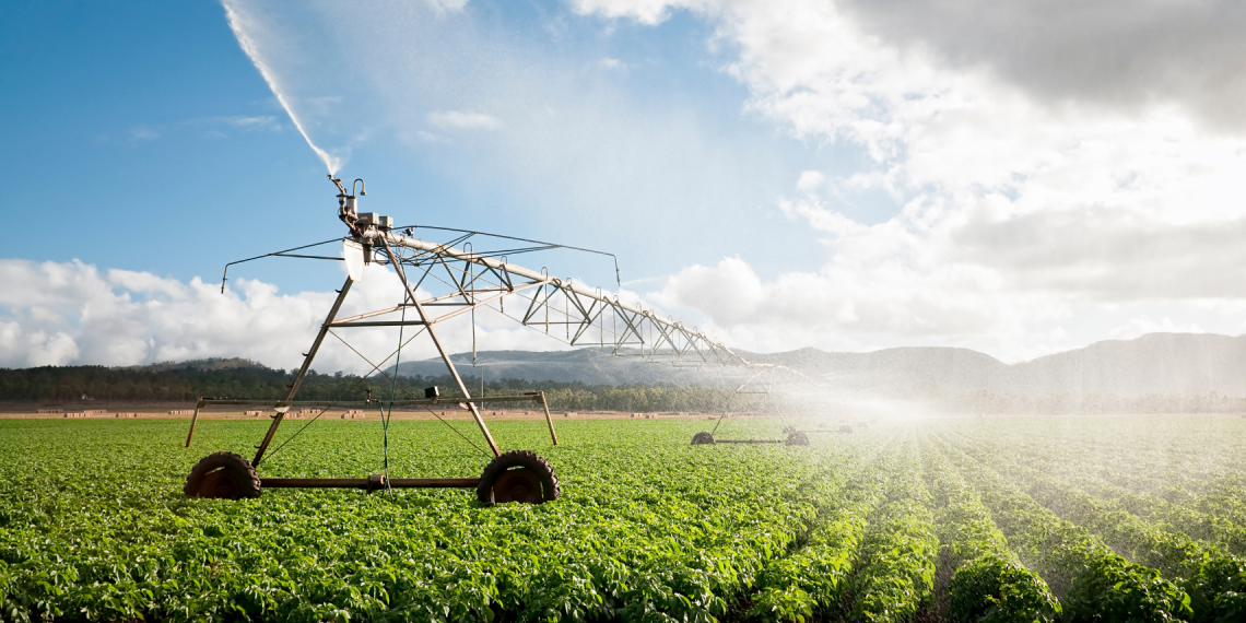 INESC TEC dinamiza comunidades de energia renovável no setor agroalimentar