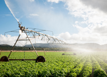 INESC TEC dinamiza comunidades de energia renovável no setor agroalimentar