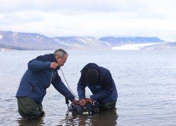 INESC TEC researchers collect DNA samples in the Arctic