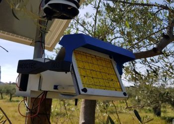 Tecnologia INESC TEC ajuda a proteger o olival e pode chegar a outras culturas