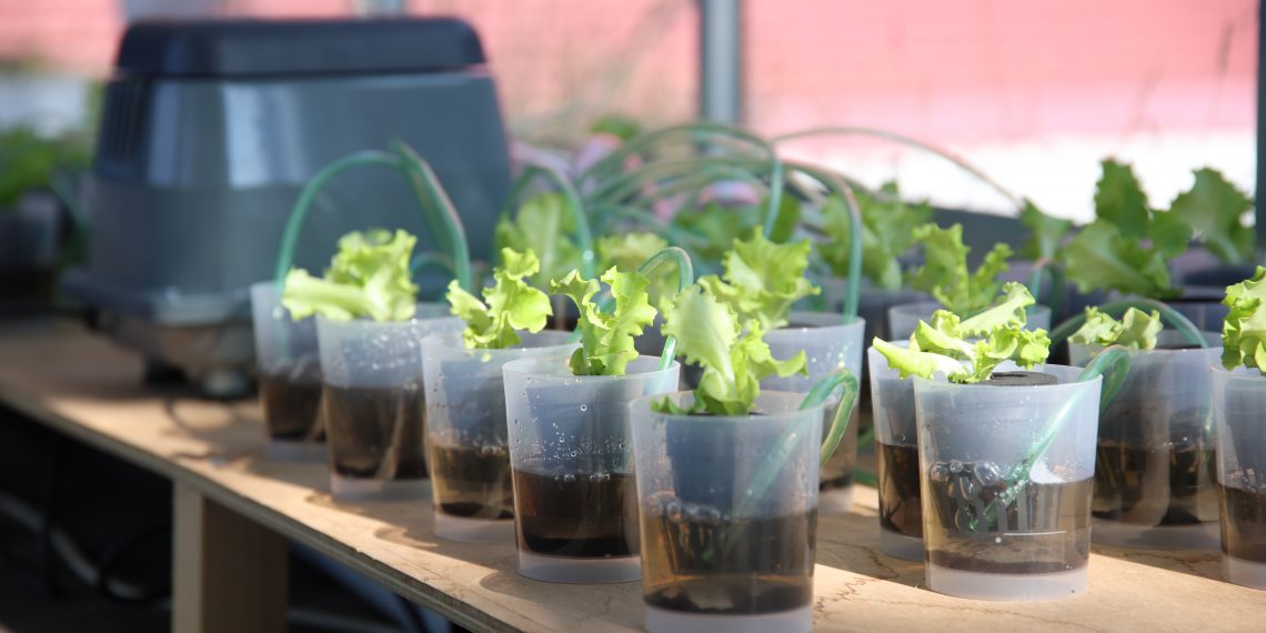 INESC TEC technology on the podium of European Innovation Award