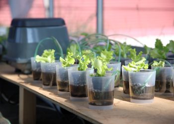 INESC TEC technology on the podium of European Innovation Award