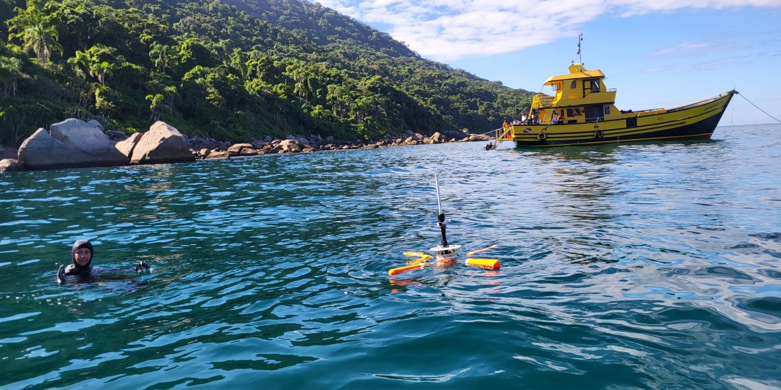 Tecnologia INESC TEC viaja para o Brasil para monitorização de espécie invasora