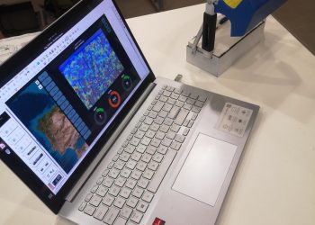 Europe plans to monitor and preserve insect populations – with INESC TEC’s support