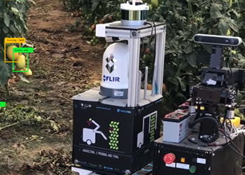 Automatização de colheita de tomates em estufa garante “Agronomy best paper award” a investigadores do INESC TEC