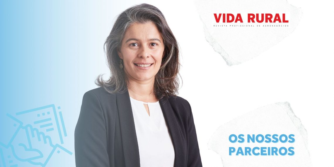 Conheça a Vida Rural