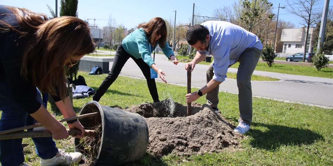 INESC TEC celebra 40 anos com plantação de 40 árvores no Porto
