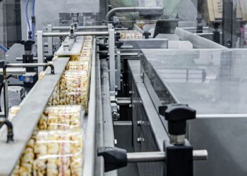 INESC TEC ajuda a criar roteiro para a descarbonização do setor agroalimentar