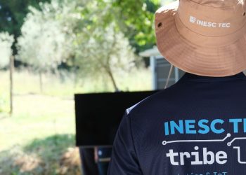 A transformação da viticultura começa no Douro com robôs e tecnologia portugueses