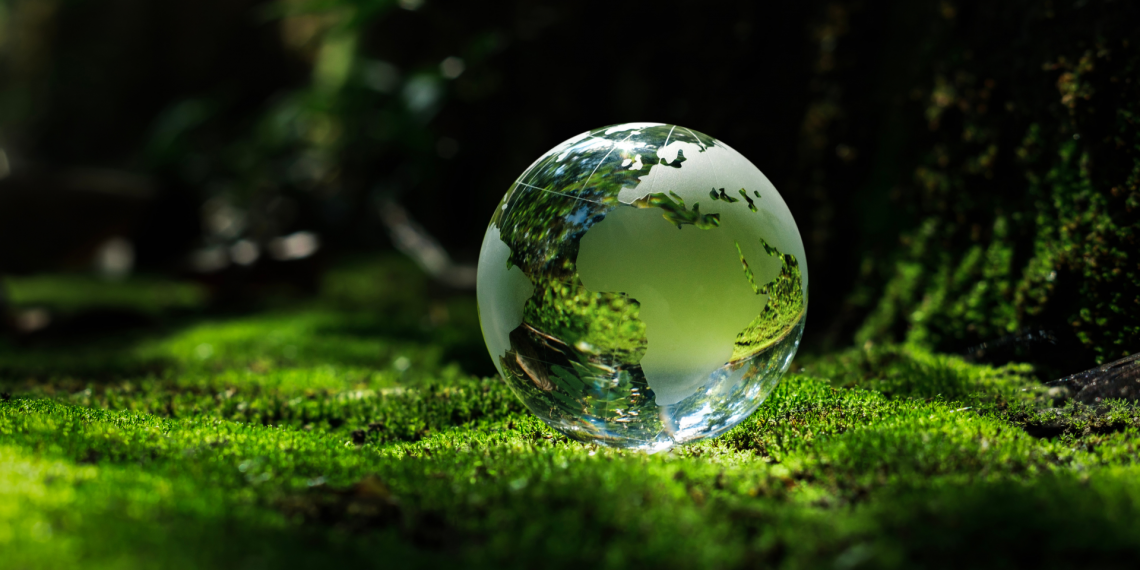 First half of 2025 ends with several Socia Responsibility initiatives by INESC TEC