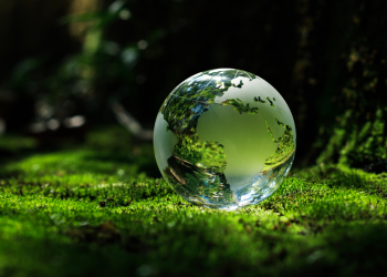 First half of 2025 ends with several Socia Responsibility initiatives by INESC TEC