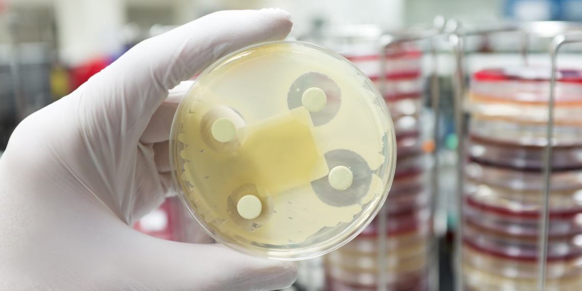 INESC TEC contribui para o desenvolvimento de protótipos capazes de melhorar o uso indevido de antibióticos