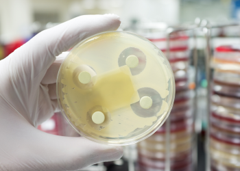 INESC TEC contribui para o desenvolvimento de protótipos capazes de melhorar o uso indevido de antibióticos