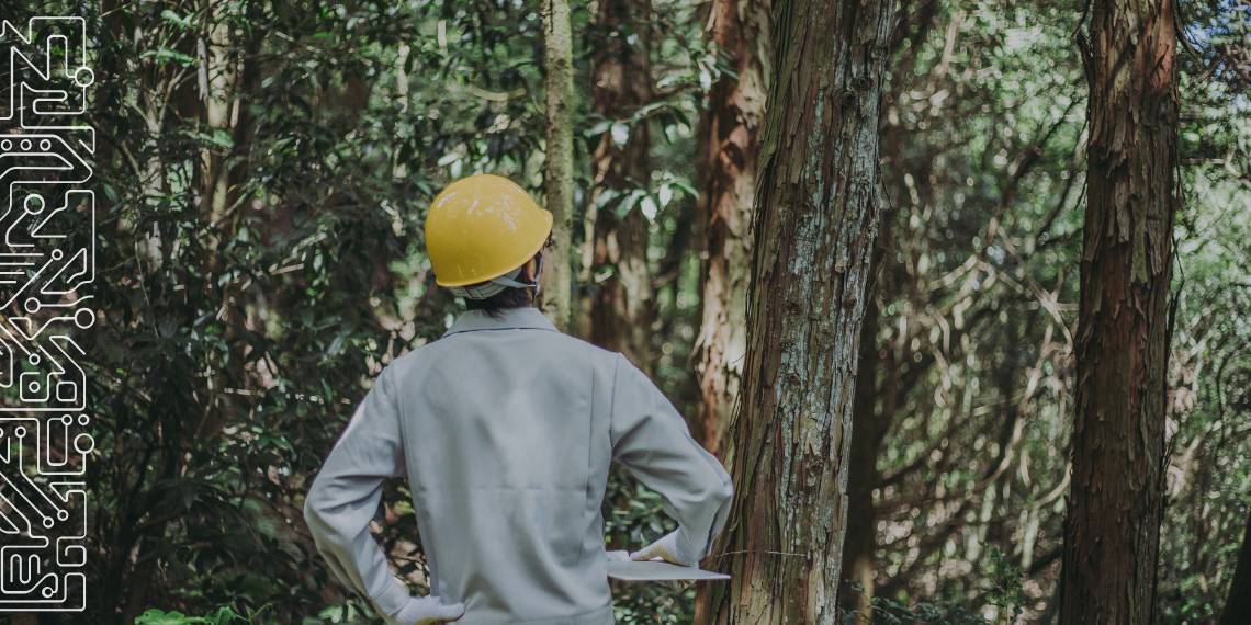 A segurança dos trabalhadores florestais está no radar de um novo projeto – com participação do INESC TEC