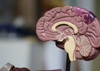 INESC TEC observed World Mental Health Day with a series of talks and awareness-raising initiatives