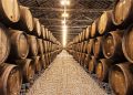 To sell or to age Port wine? The decision that could be worth millions – and INESC TEC has the answer