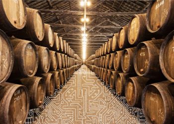 Vender ou envelhecer vinho do Porto? A decisão que pode valer milhões e o INESC TEC tem a resposta