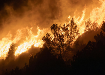 A resposta a situações de catástrofe, em contextos climáticos extremos, fez-se com contributos do INESC TEC